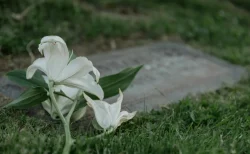 YouTuberゼパ(26)が逝去、死因は明かされず　活動経歴・訃報の全容