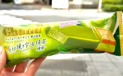 セブン限定「ガーナ チョコ＆クッキーサンド 香る抹茶」実食レビュー！宇治抹茶の風味としっとり食感の両立で2度おいしかった話。