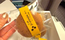 五感「ええもんちぃ」実食レビュー！賞味期限が25日に延長されてもっと配りやすくなった大阪の黒豆マドレーヌ