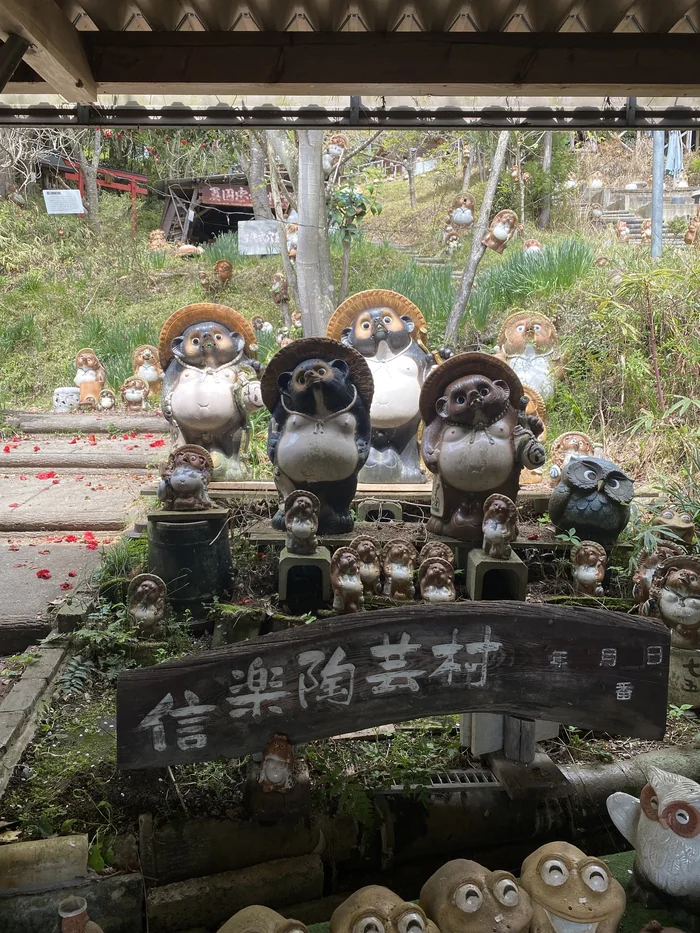 信楽陶芸村の木製看板の前に並ぶ大小の狸の置物たち