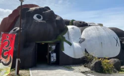 信楽「狸家分福」の狸うどんが可愛すぎた！外観も器も狸だらけのうどん屋さん体験レビュー