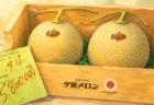 夕張メロン初競りが2玉580万円、史上最高値更新、前年100万円から5.8倍に