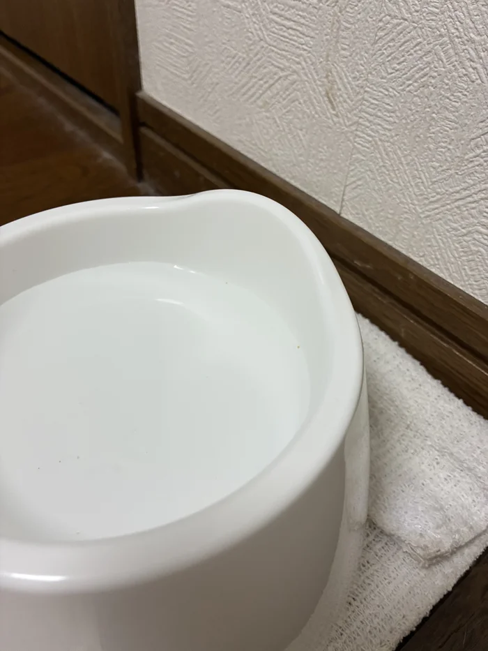 画像 セリアのフードボウル上部の縁が出っ張った部分