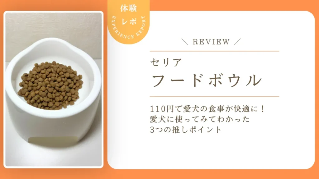 eyecatch
