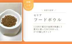 110円で愛犬の食事が快適に！セリア「フードボウル」を愛犬に使ってみてわかった3つの推しポイント