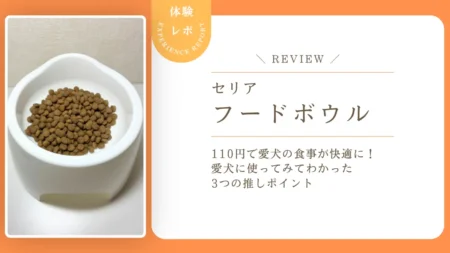 110円で愛犬の食事が快適に！セリア「フードボウル」を愛犬に使ってみてわかった3つの推しポイント