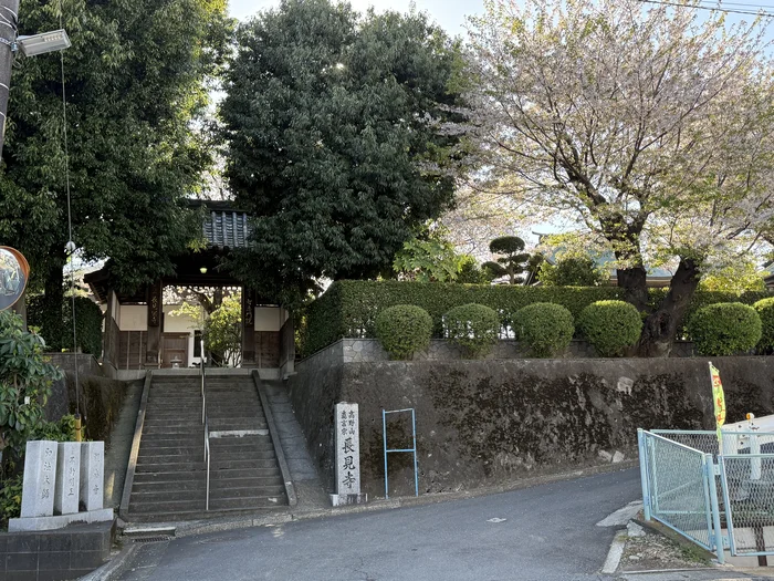 道路沿いの石段の上に山門が見える寺の入口と桜