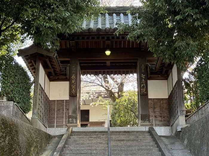 山門に掲げられた長見密寺と智恵門院の扁額