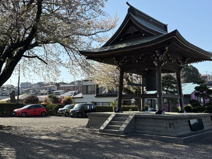 桜の枝ごしに見る鐘楼と横浜の街並み