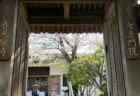 塚本洸介”究極のブロッコリーと鶏胸肉”社長「膳所高校→早稲田→年収800万捨ててブロッコリー屋」異色の経歴　ヒカルチャンネルでいつきさんと結婚発表
