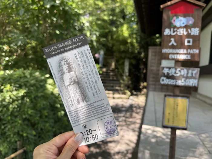 入場時間帯が印字された長谷寺のあじさい券