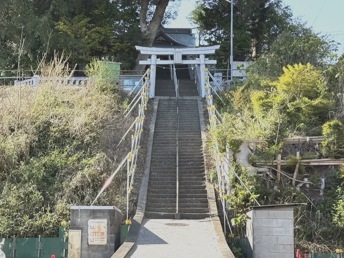 石段の上に立つ鳥居と大きな御神木