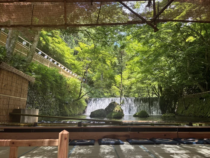 画像 天山の川床席から望む滝と新緑の渓流