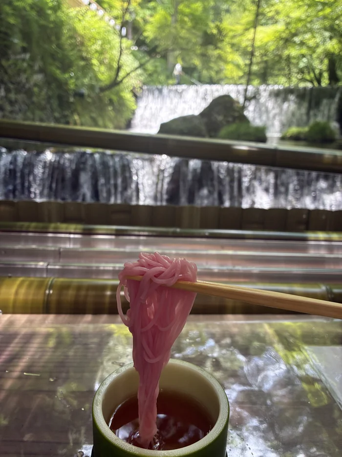 画像 箸で持ち上げた淡いピンク色のそうめんと追いつゆ