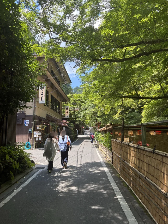青もみじに覆われた貴船街道と立ち並ぶ料理旅館