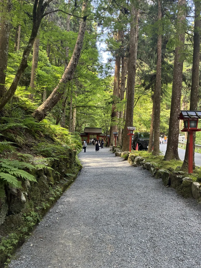 杉並木に囲まれ奥宮へと続く玉砂利の参道