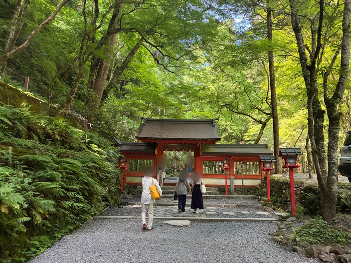 新緑に包まれ奥宮の朱色の神門へと続く参道