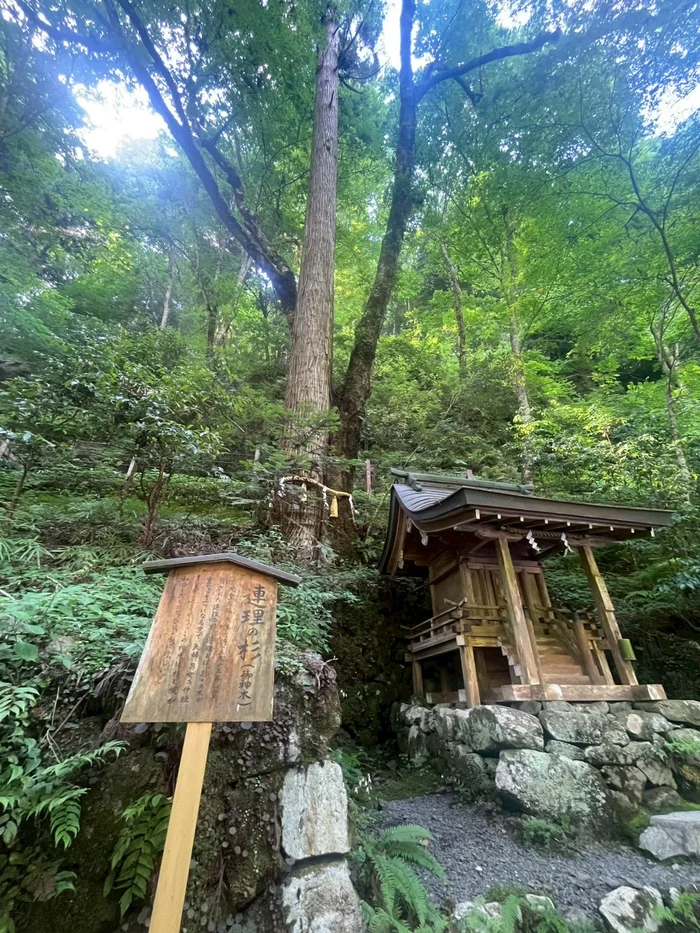 杉の巨木のそばにたたずむ小さな末社