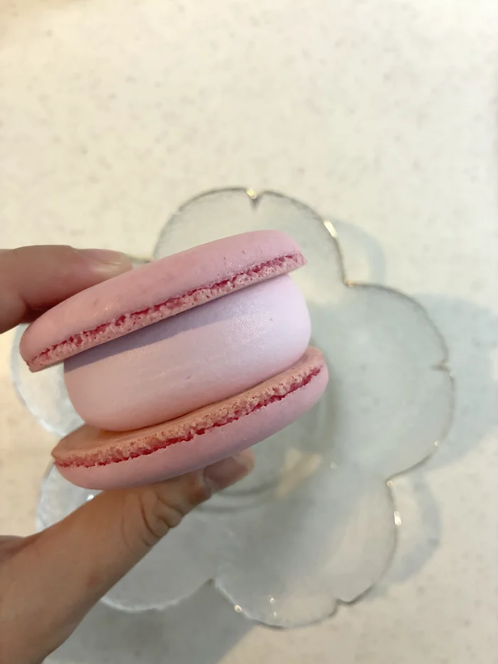 画像 横から見たマカロンアイスの厚みのある層