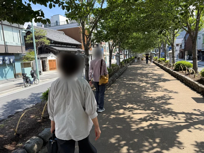 木陰の続く朝の段葛を歩く様子