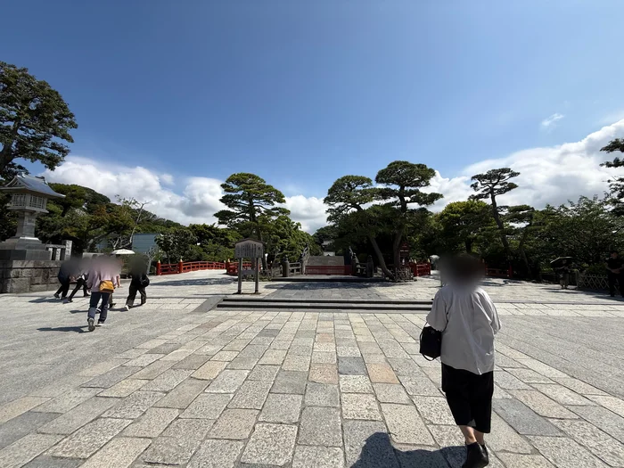 松の木と太鼓橋のある境内の風景