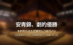 土俵と屋根がある国技館風の会場に「安青錦」の文字が入ったタイトルカード