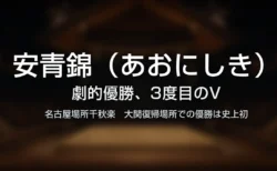 安青錦（あおにしき）が名古屋場所で劇的優勝したことを伝えるタイトルカード