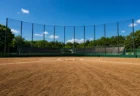 夏の高校野球、土のグラウンドとバックネットの一般的な球場情景