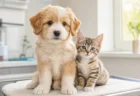 動物病院の診察台に座る子犬と子猫