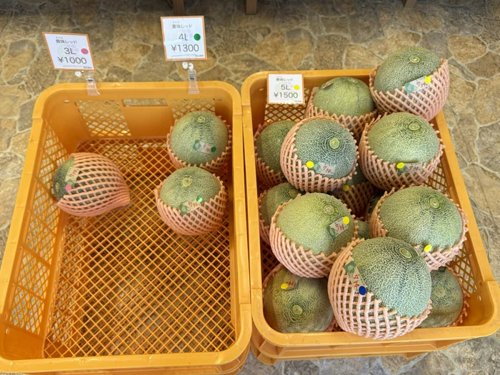 画像 直売所に並ぶ赤肉メロンの貴味レッド