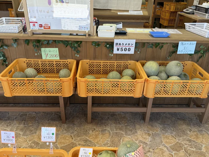 画像 フルーツファーム向後の訳ありメロン売り場