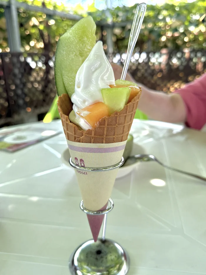 画像 青肉と赤肉のメロンをのせたソフトクリーム