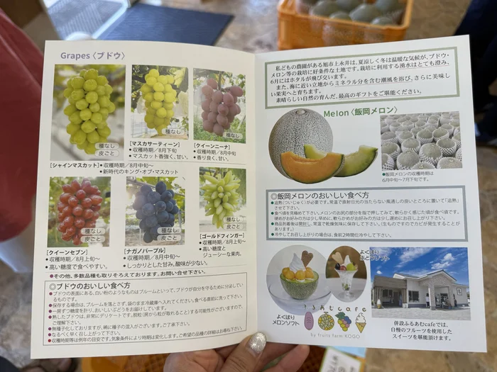 画像 フルーツファーム向後のパンフレットとメロンの食べ方