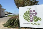 フルーツファーム向後の大きなKOGO看板と直売所