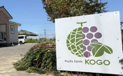フルーツファーム向後の大きなKOGO看板と直売所