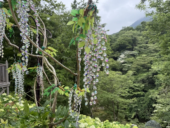 透明と紫色のクリスタルガラスが連なる藤の花の近景