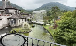 曇りの日でも楽しめる？箱根・仙石原『箱根ガラスの森美術館』で約16万粒の光の回廊とガラスの花を体験レポ