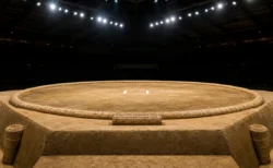 大相撲の土俵(イメージ)