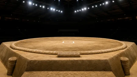 大相撲の土俵(イメージ)