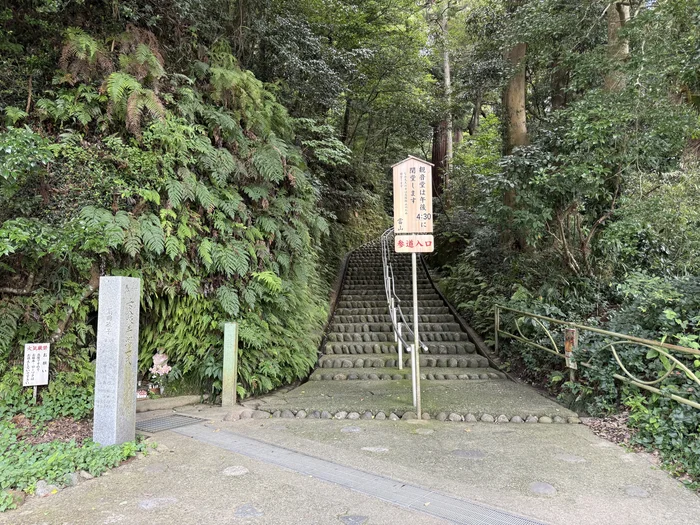 画像 深い緑に囲まれて上へ続く笠森観音参道の石段