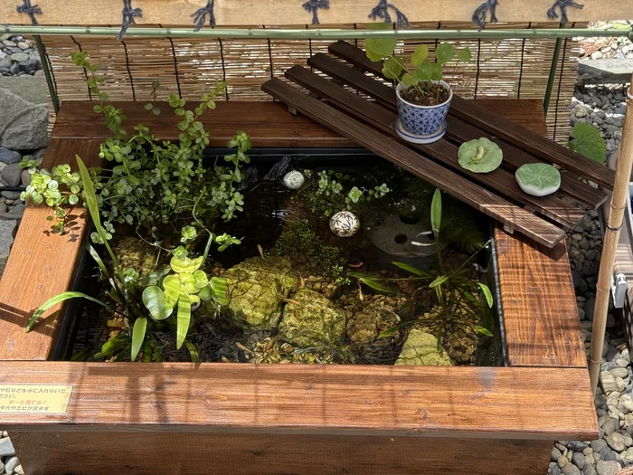 画像 縁起家古壺の水辺に浮かぶ色とりどりの浮き玉