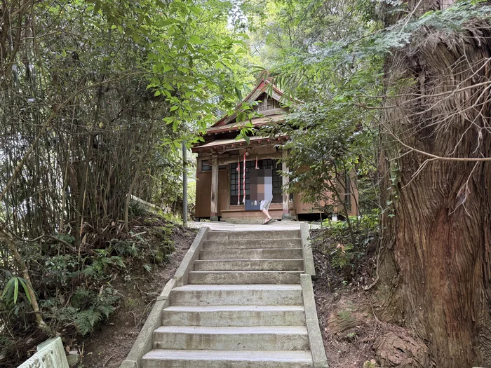 画像 深い木々の中に佇む笠森熊野神社の社殿