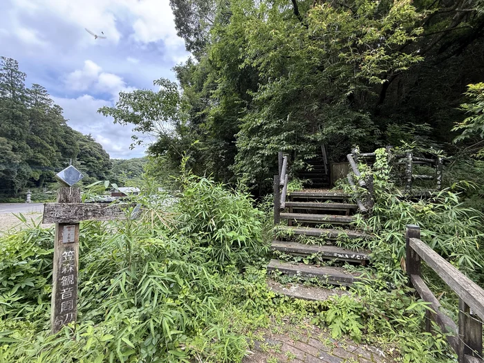 画像 草に囲まれた弁天池脇の人が通っている様子のない古い木の階段