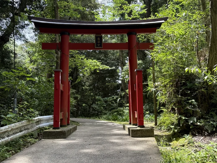 画像 森の中の道に立つ熊野宮の赤い鳥居