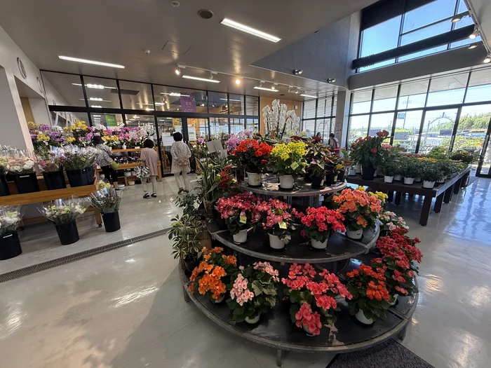 画像 赤やピンク、黄色など色とりどりの花が並ぶ売り場