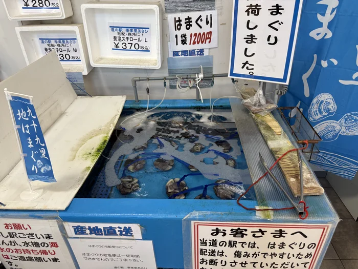 画像 産地直送の九十九里地はまぐりが入った売り場の水槽