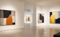 白壁に抽象的な現代アート作品がいくつか並ぶ、明るく静かな展示ギャラリー