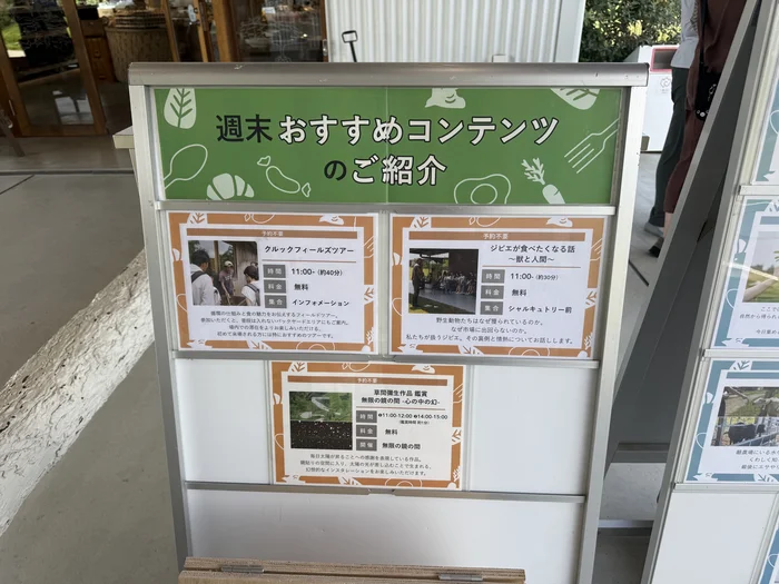画像 週末に開催される体験コンテンツの案内