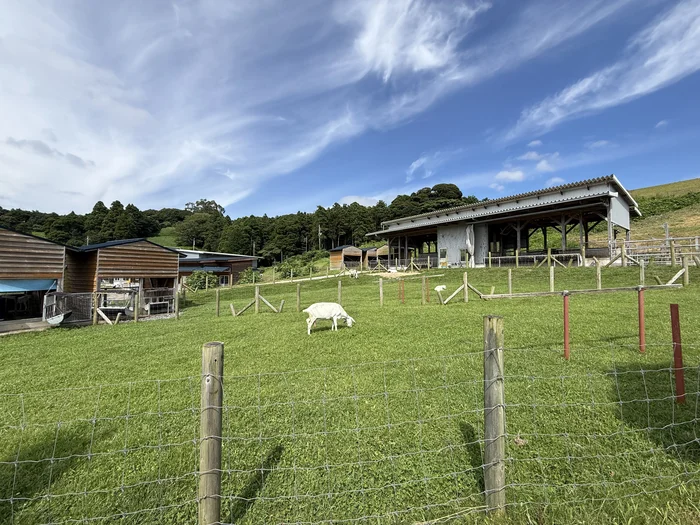 画像 動物ふれあい広場近くの放牧風景
