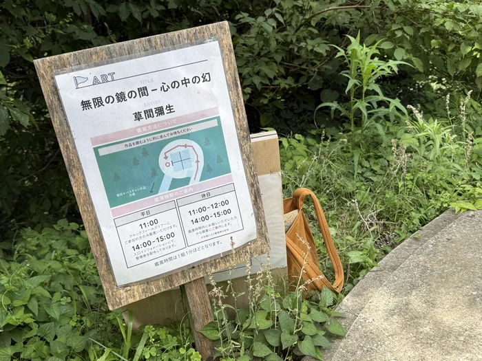 画像 草間彌生「無限の鏡の間」の鑑賞案内